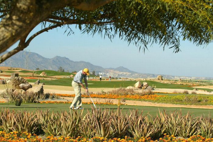 DESERT SPRINGS GOLF CLUB