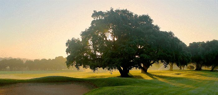 MONTENMEDIO GOLF