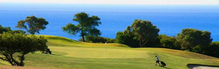 LA DUQUESA GOLF 