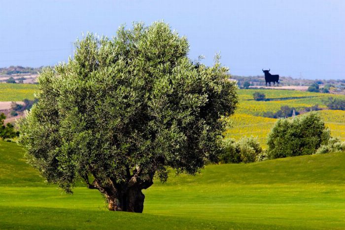 SHERRY GOLF JEREZ