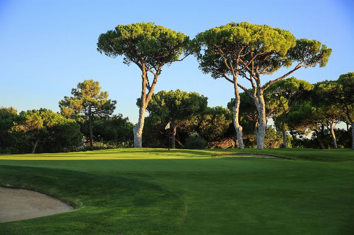 THE OLD COURSE (DOM PEDRO)